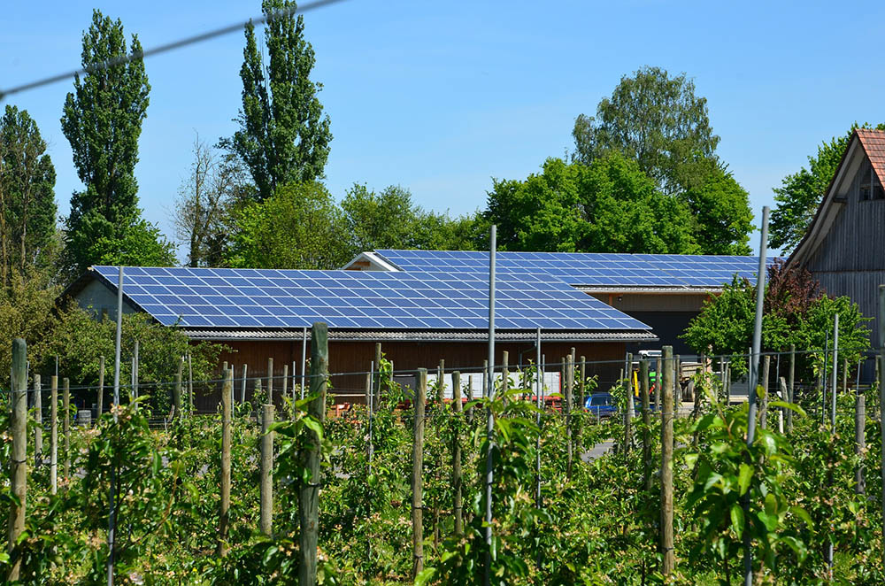 Nem kell nagy napelem pályázat ahhoz, hogy a magyar lakosság befektessen